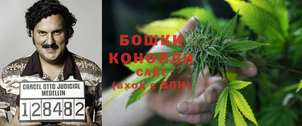a pvp Аркадак