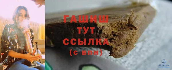 гашик Пестово