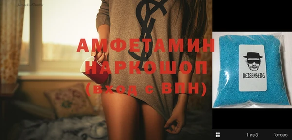 гашик Пестово