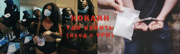 spice Алексин