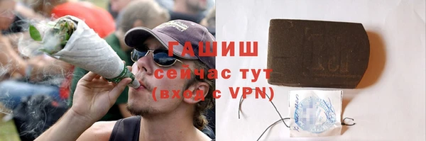 гашик Пестово